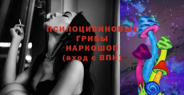 apvp Кинешма